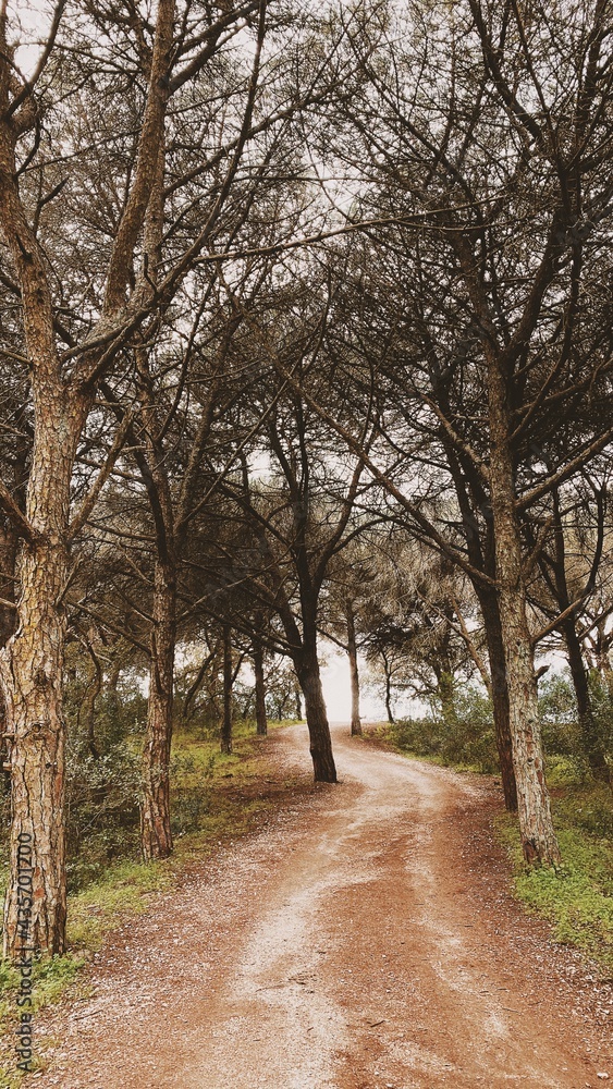 Processed with VSCO with c5 preset Processed with VSCO with c5 preset