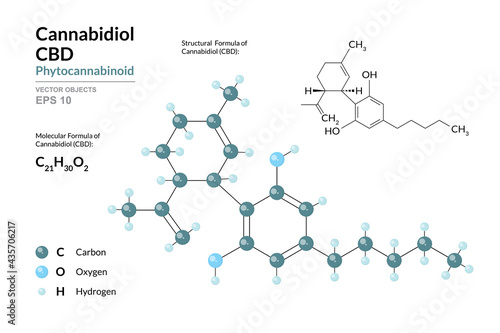 CBD. Cannabidiol. Phytocannabinoid. Structural Chemical Formula and Molecule 3d Model. C21H30O2. Atoms with Color Coding. Vector Illustration