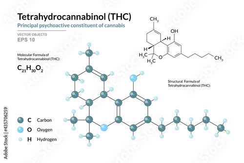 THC. Tetrahydrocannabinol. Psychoactive constituent of cannabis. Structural Chemical Formula and Molecule 3d Model. C21H30O2. Atoms with Color Coding. Vector Illustration