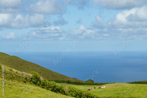 Green and blue landscape, land, ocean and clouds. © Ayla Harbich