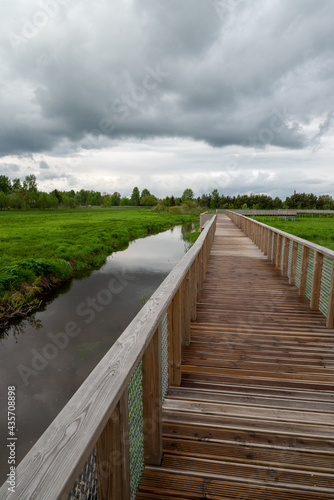 Wooden walk track in green park