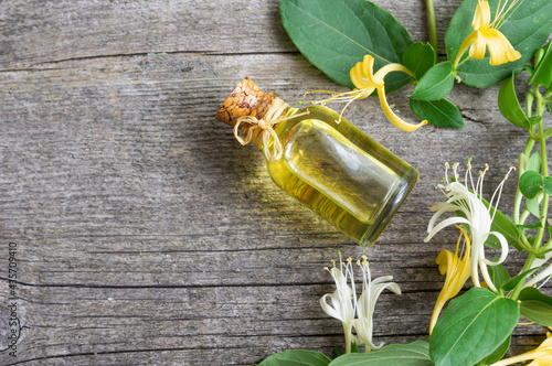 Glass bottle of honeysuckle flower essential oil with fresh flowers, lonicera caprifolium photo