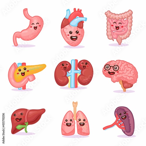 Cute kawaii strong happy human healthy strong organs set. Vector cartoon character illustration icon design. Isolated on white background