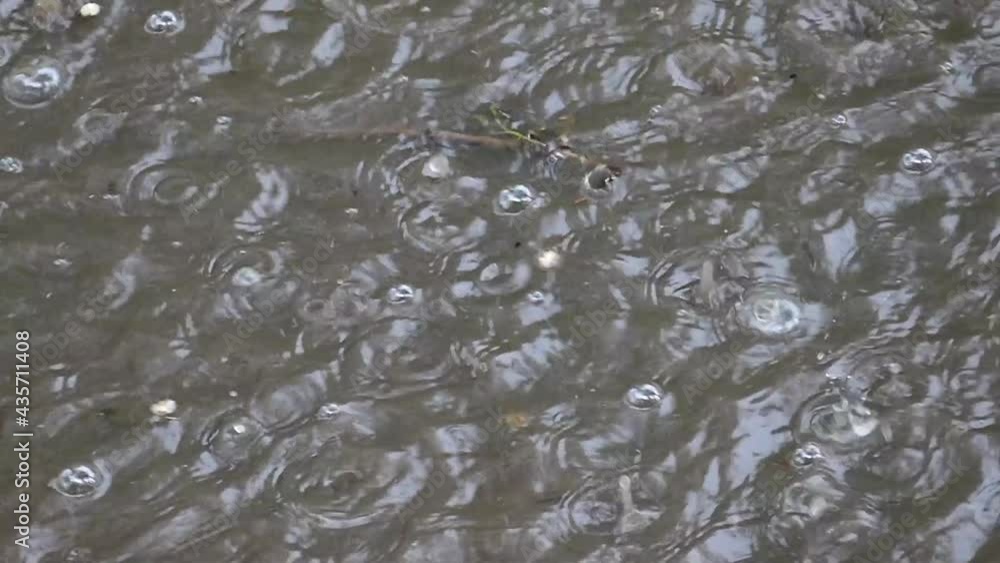 Rain background. A puddle with raindrops. Dirty water. Rain bubbles in slow motion. Rain background. A puddle with raindrops. Dirty water. Rain bubbles in slow motion.