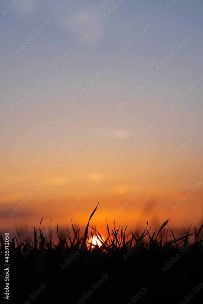 Sunset behind grass field in Hungary