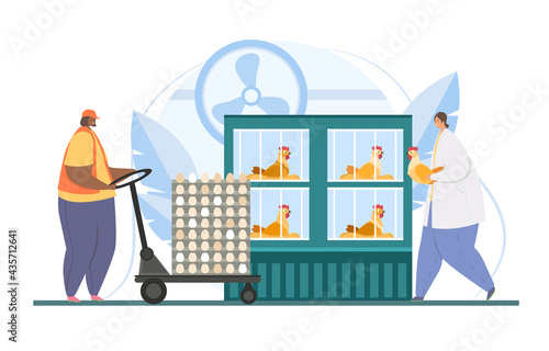 Chicken eggs poultry farm. Avian vet