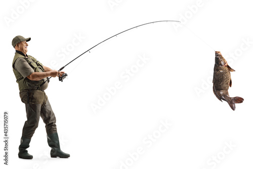 Fototapeta Full length profile shot of a mature fisherman catching a big carp fish with a f