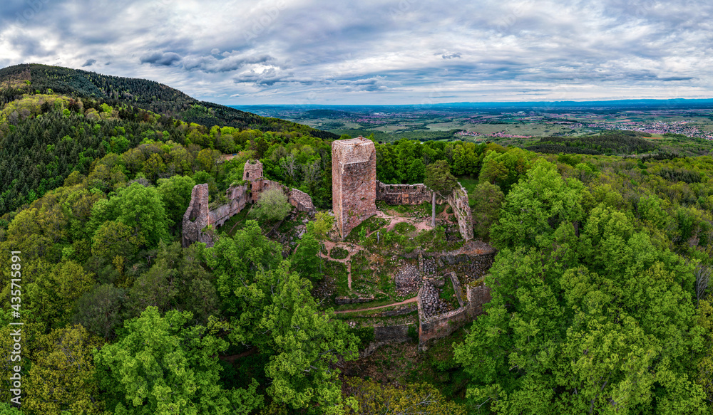 Medieval Castle Landsberg in Vosges, Alsace. Aerial view of the castle ruins, filmed from a drone.