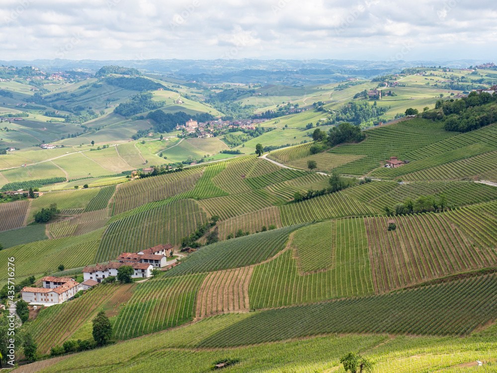 Landscape of Langhe and its vineyards