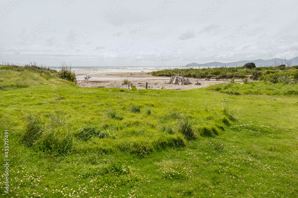 Fototapeta premium Whareroa beach