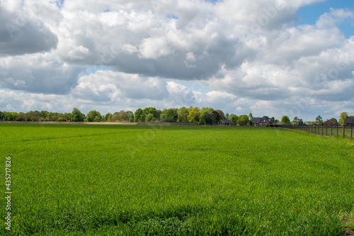 A green grass field and blue sky with clouds in Laar-Weert the Netherlands © Jolanda Jansen