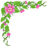 Frame a corner with pink flowers for a postcard or invitation. Vector illustration.