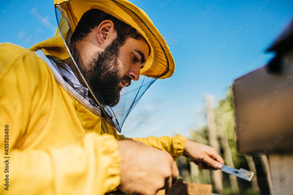 Close portrait shot from ground of a young beekeper with a beard in a yellow protecting suit working on his apiary on a summer day.