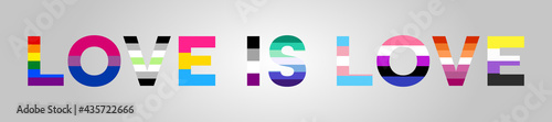 'Love is Love' Typography With LGBTQ Sexual Identity Flags. Pride Flag Text Illustration on Isolated on Light Background. Vector Banner for LGBT Pride Month