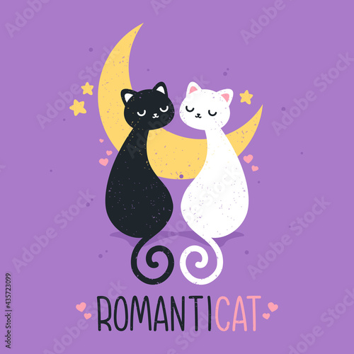 cute couple cat with moon in grunge style