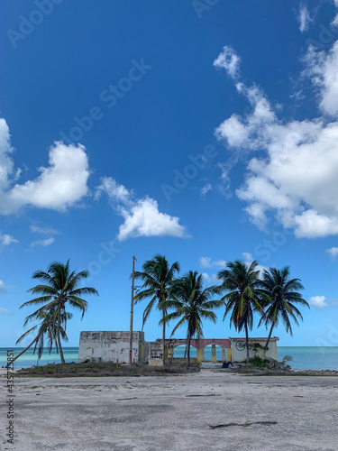 Palmas en la playa