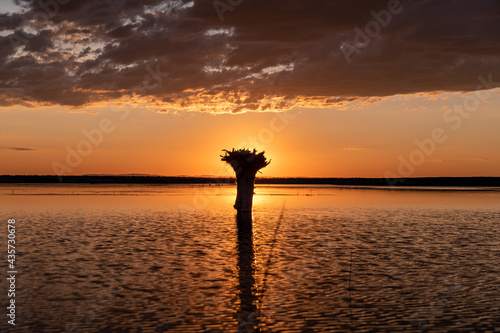 Scenic sunset over a lake with clouds reflection on a calm water surface, South East of Oregon. A trunk of an old broken tree against setting sun photo