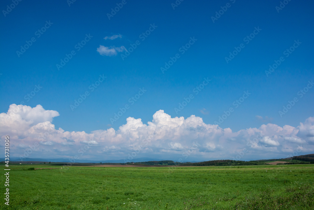 夏の草原と青空

