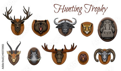 Hunting trophies animals heads. Vector deer, roaring grizzly bear muzzle and african buffalo, cheetah, hippo and gazelle, warthog, elk and beaver, bighorn sheep ram hanging on wooden plate