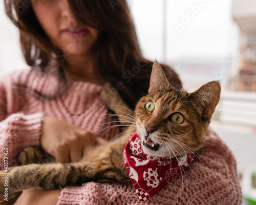 Young woman hugging her bengal cat that has an unsatisfied face at the balcony