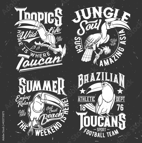 Toucan bird t-shirt retro print template. Football sport team, tropical wildlife and summer leisure apparel custom vector print with animal mascot, great and rhinoceros toucans, grungy typography