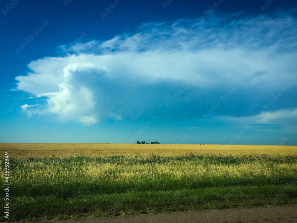 Obraz premium Nebraska Farm Field