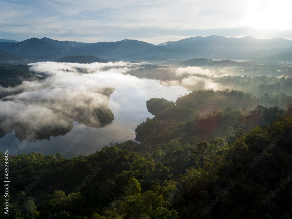 Morning mist among the forest. Canopy trees in the valley by the river bank. Beautiful nature scenery in the forest at sunrise. View from above. Morning mist among the forest. Canopy trees in the valley by the river bank. Beautiful nature scenery in the forest at sunrise. View from above.