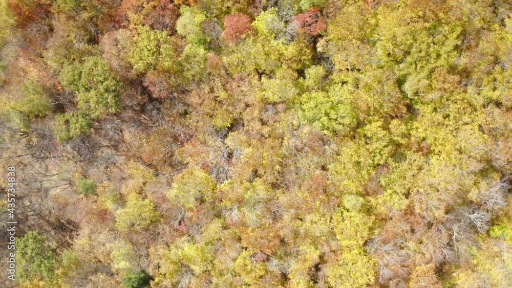 Aerial Rising Directly Over A Bright Autumn Landscape Of Fall Foliage Trees With Vibrant Warm Colors - Conway, New Hampshire Aerial Rising Directly Over A Bright Autumn Landscape Of Fall Foliage Trees With Vibrant Warm Colors - Conway, New Hampshire