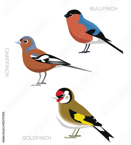 Bird UK Finch Set Cartoon Vector Illustration