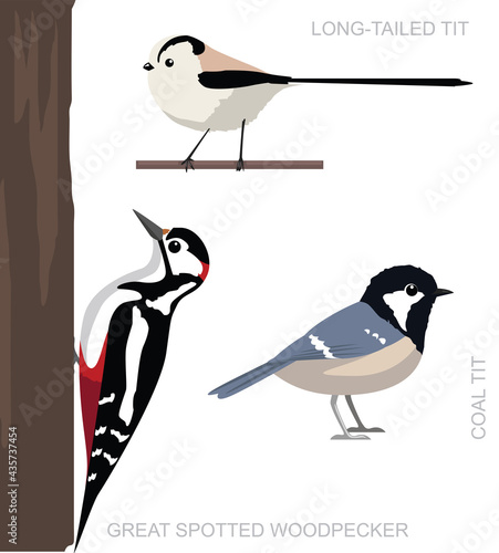 Bird UK Tit Set Cartoon Vector Illustration