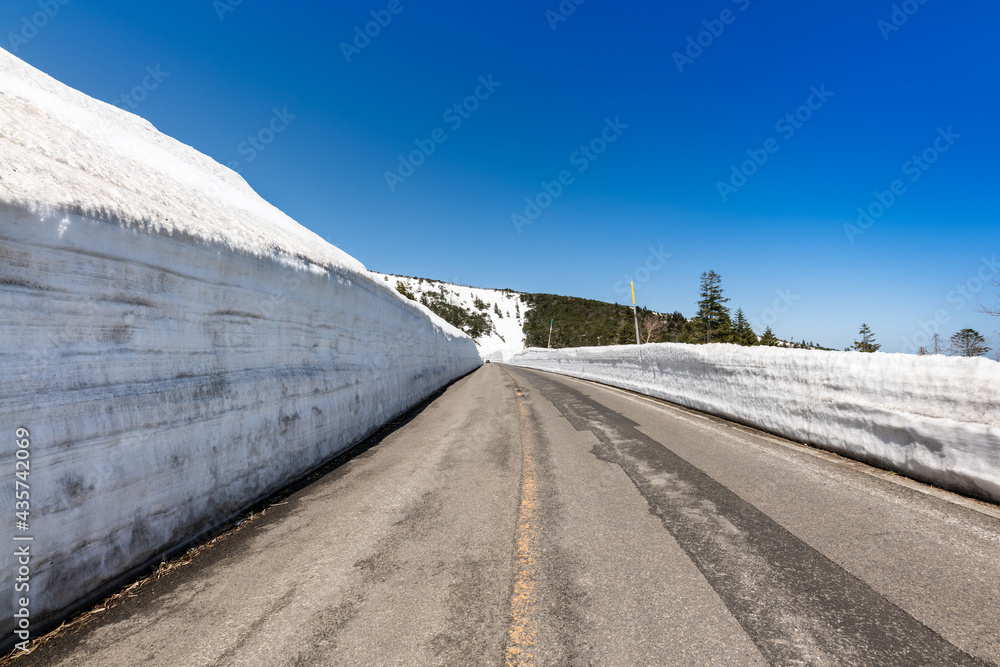 Fototapeta premium 日本 蔵王エコーライン雪の回廊