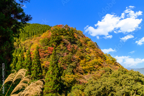 日本の秘境「五家荘・梅の木轟公園・樅木河合場線からの紅葉風景」標高1300～1700ｍ Japan's unexplored region 