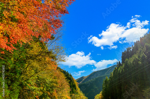 日本の秘境「五家荘・梅の木轟公園・樅木河合場線からの紅葉風景」標高1300～1700ｍ Japan's unexplored region 