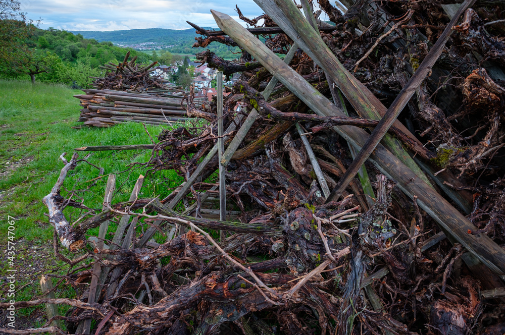 Close-up of cleared vines and posts on a heap Close-up of cleared vines and posts on a heap