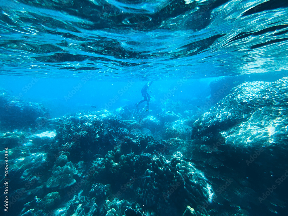 Under the sea Travel in the diving sea Under the sea Travel in the diving sea
