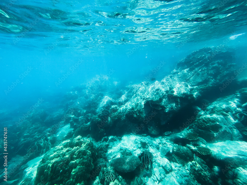 Under the sea Travel in the diving sea Under the sea Travel in the diving sea