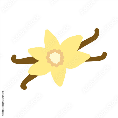 Hand drawn style vector illustration of vannila flower with bean pods. Isolated on white background.