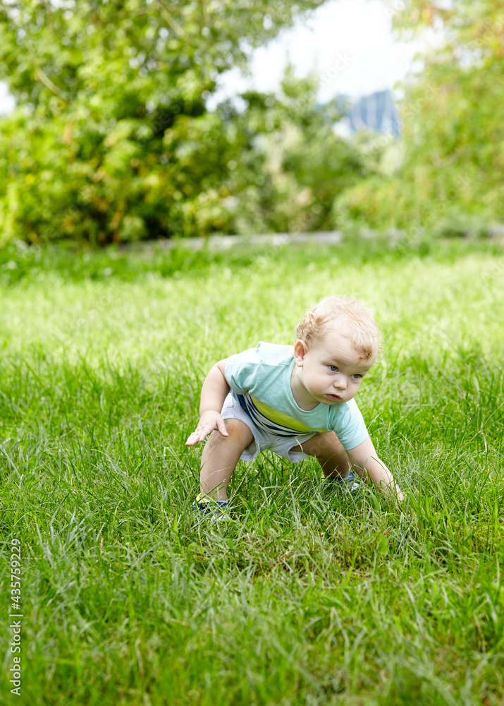 Little boy walking in the park. The concept of a happy childhood, summer outdoor recreation, summer vacation Little boy walking in the park. The concept of a happy childhood, summer outdoor recreation, summer vacation