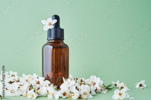 Essential oil bottle with blooming plant branch on green background