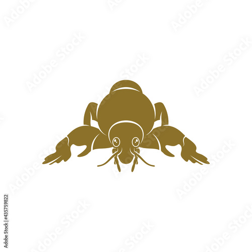 Mole Cricket design vector illustration, Creative Mole Cricket logo design concept template, symbols icons