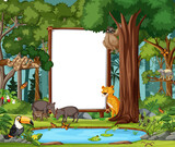 Forest scene with empty banner and many wild animals