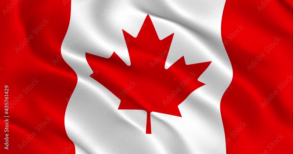 Canada Flag Seamless Smooth Wavy Animation. National flag of Canada waving in the wind. Loop animation, 3D render, 60fps. Beautifuly slows down 2 times if interpret as 30 fps Canada Flag Seamless Smooth Wavy Animation. National flag of Canada waving in the wind. Loop animation, 3D render, 60fps. Beautifuly slows down 2 times if interpret as 30 fps