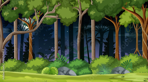 Forest landscape scene at night with many trees