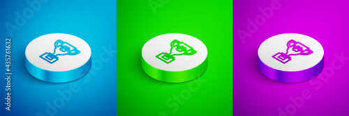 Isometric line Pet award symbol icon isolated on blue, green and purple background. Medal with dog footprint as pets exhibition winner concept. White circle button. Vector