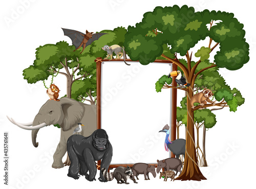 Empty banner with wild animals and rainforest trees on white background