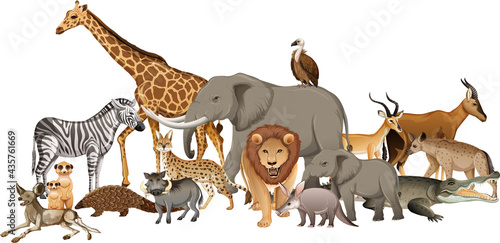 Group of wild african animal on white background