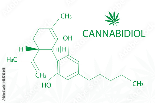 Cannabis leaf of Sativa with formula cannabidiol