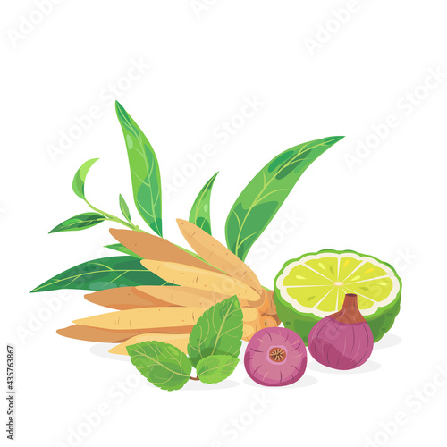 Thailand traditional herb