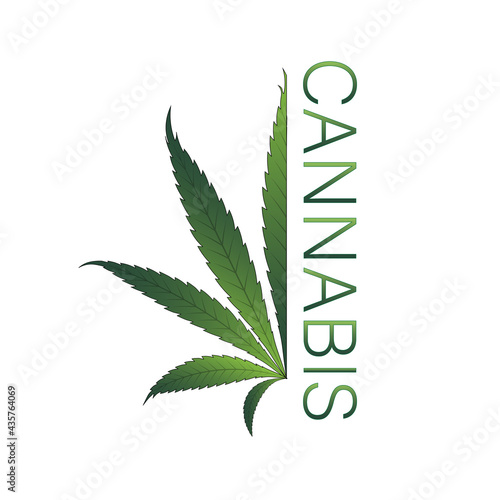 Simple icon of Cannabis Leaf Silhouette Sativa marijuana