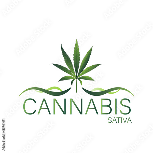 Simple icon of Cannabis Leaf Silhouette Sativa marijuana